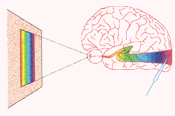 wpe12509.gif (11454 bytes)